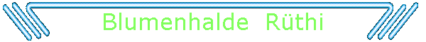 Blumenhalde  Rthi
