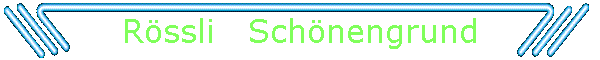 Rssli   Schnengrund