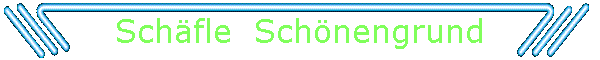 Schfle  Schnengrund