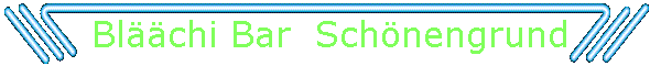 Blchi Bar  Schnengrund