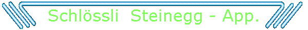 Schlössli  Steinegg - App.