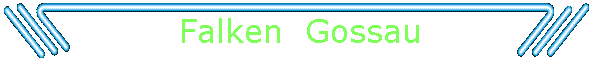 Falken  Gossau
