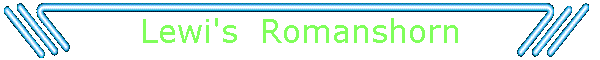 Lewi's  Romanshorn