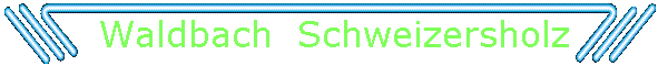 Waldbach  Schweizersholz