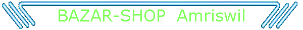 BAZAR-SHOP  Amriswil