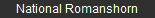 National Romanshorn