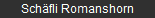 Schfli Romanshorn