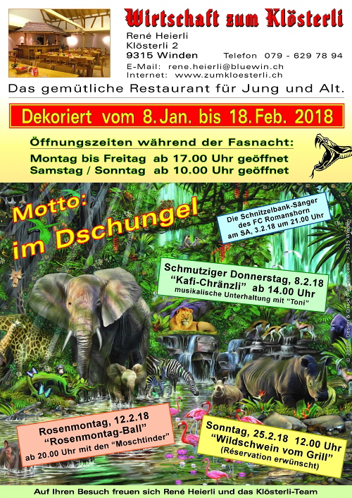 Fasnacht 2018